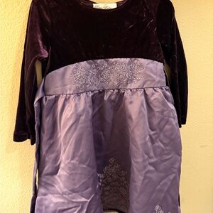 Rare Editions Deep Purple Velvet Dress